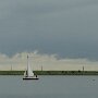a74z1599